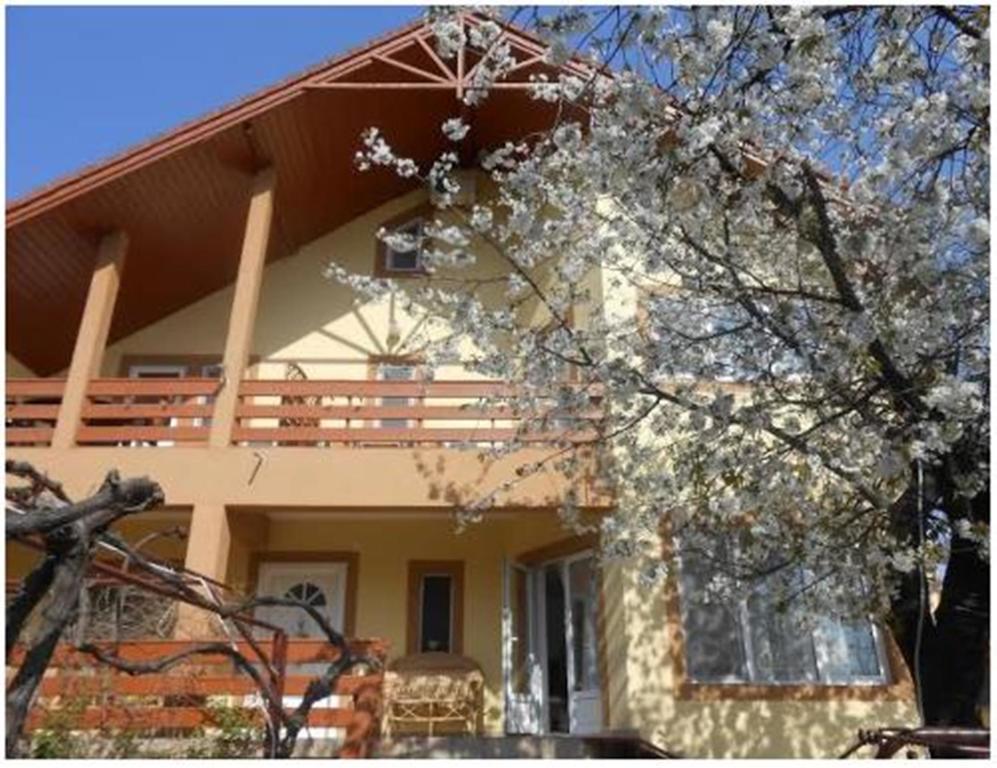 Pensiunea Pentru Tine Prietene Arcani Quarto foto